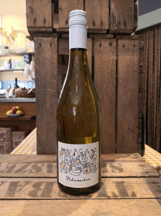 domaine grenaudiere - phenomene - domaine grenaudiere